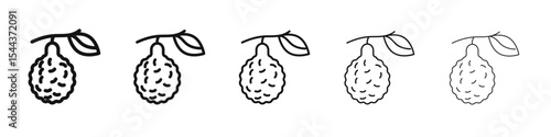 bergamot icon vector outline set illustration sign