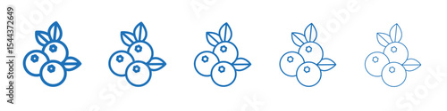 Blueberry icon vector outline set illustration sign