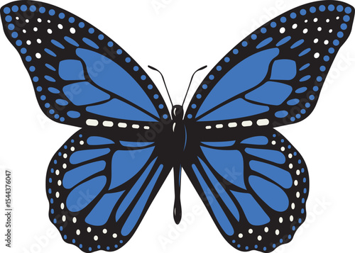 blue butterfly