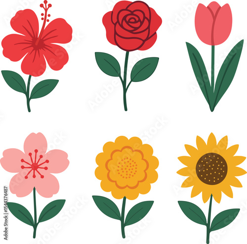Colorful Flower Illustrations