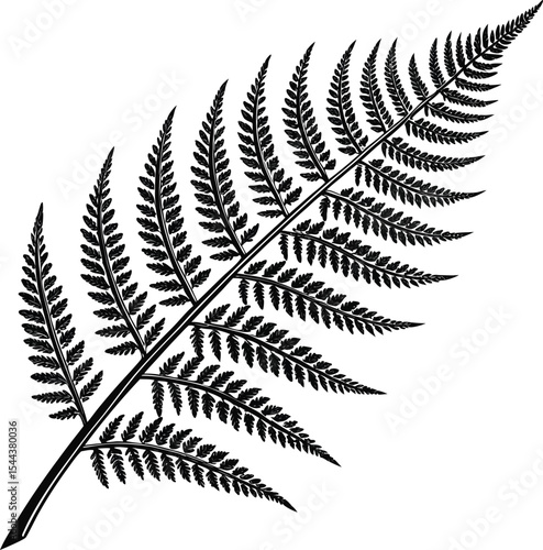 Isolated green fern leaf with natural forest foliage pattern on black background
