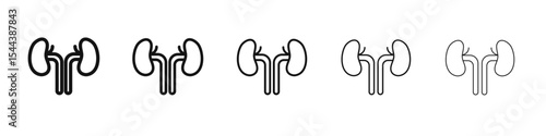 kidney icon vector outline set illustration sign