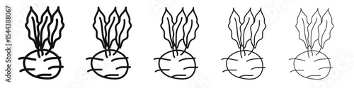 kohlrabi icon vector outline set illustration sign