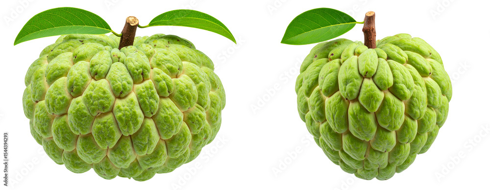 Fototapeta premium Whole Fresh Custard Apple with Green Bumpy Skin, isolated on transparent background PNG