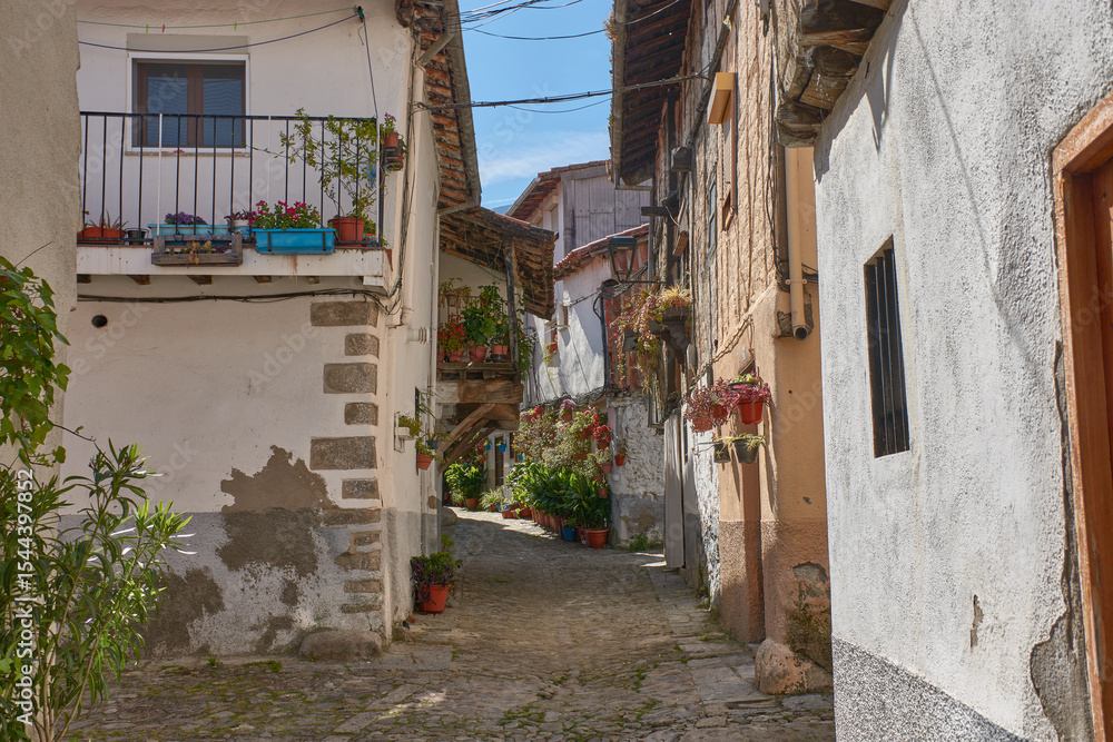Fototapeta premium Cobbled alley in the Jewish quarter of Hervas, Extremadura, with whitewashed houses and flower pots adorning their walls
