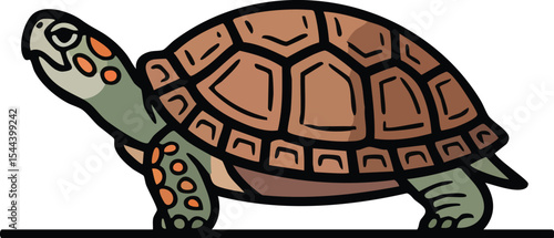 Illustrative Vector Turtle