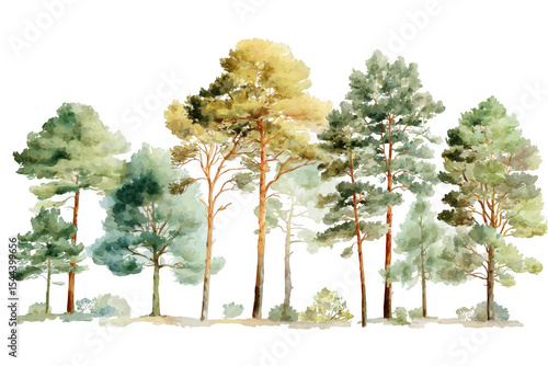 Watercolor forest scene with various trees
