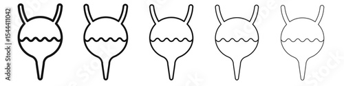 Urinary bladder icon vector outline set illustration sign