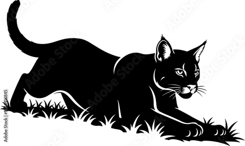 Black Cat Stalker Silhouette