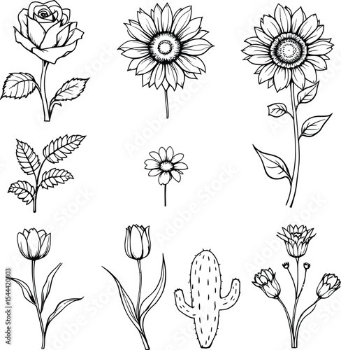 Black-and-White Vector Illustrations of Botanical Variety – A 3x3 Grid Featuring Flowers, Leaves, and Succulents