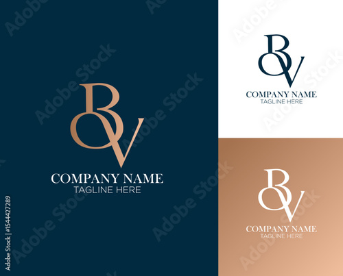 BV luxury initials logo for corporate branding