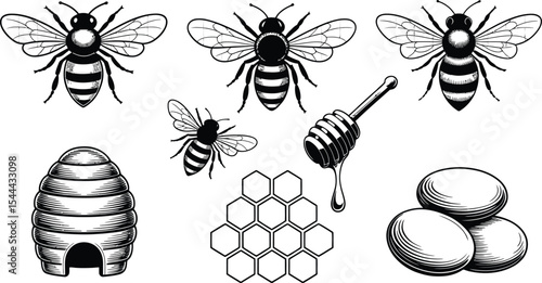 Illustration of bees beehive honeycomb honey dipper and honey drops