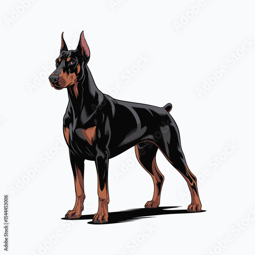vector illustration of doberman pinscher dog Standing upright