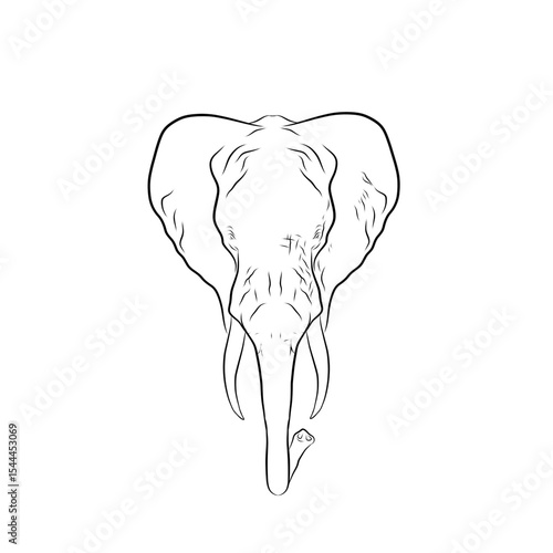 illustration of an elephant head on a white background