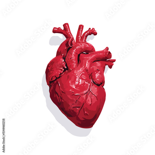 vector illustration of corazon isolated in White Background, corazon vector
