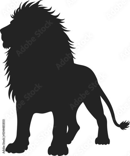 Majestic male lion silhouette isolated on white background