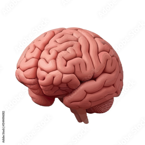 Human Brain Origin: Scientific Perspective & Evolutionary Anatomy