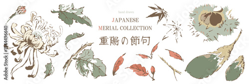 重陽の節句, 菊, 秋, 花, 紅葉, 植物, もみじ, 秋の味覚, ベクター, 和風, 日本, 枯葉, 伝統, 菊の節句, 筆, 筆書き, 栗, 葉, 茄子, セット