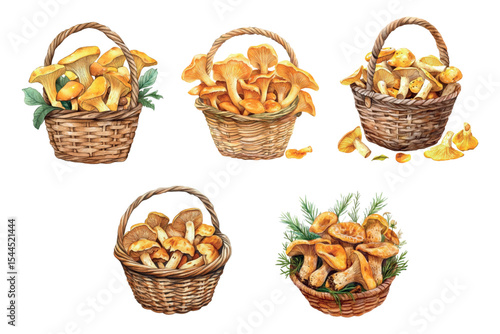 Watercolor set of baskets with chanterelle mushrooms and porcini mushrooms. Painted baskets with autumn mushrooms. Autumn concept, mushroom picking. Vector illustration.