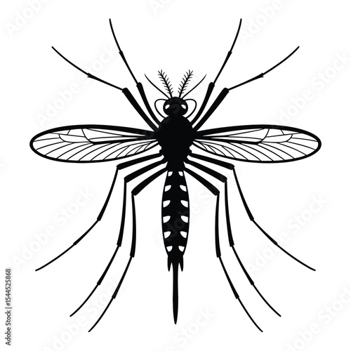 Asian Tiger Mosquito Silhouette, Vector, Illustration, Icon, Logo, White Background.