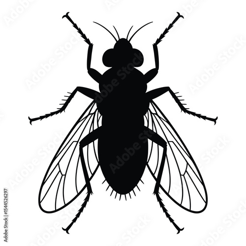 Black Fly Silhouette, Vector, Illustration, Icon, Logo, White Background.