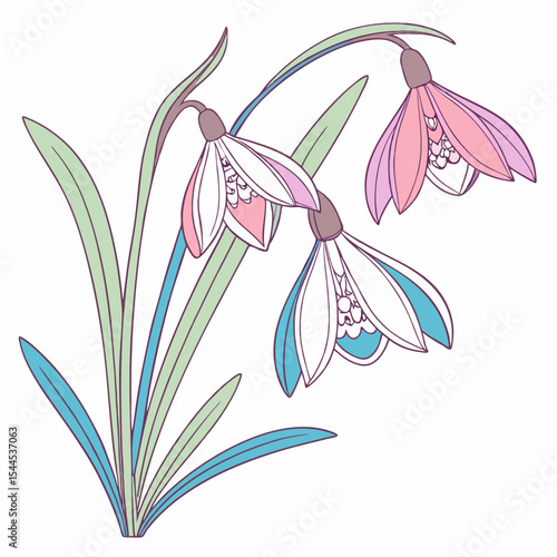 colorful vector  snowdrop