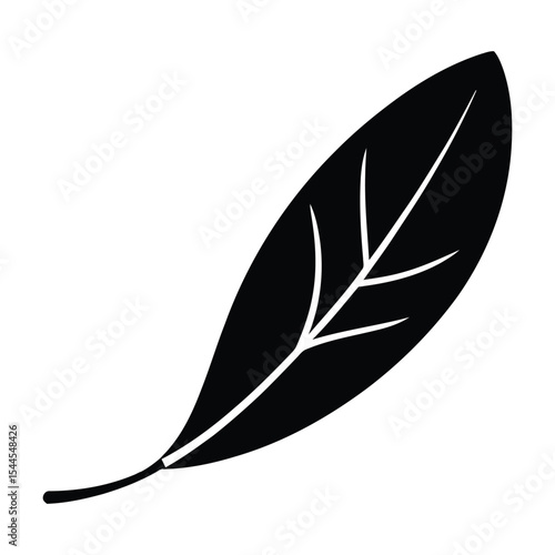 Eucalyptus Gum Leaf Icon, Vector, Illustration, Outline, Line Art, Silhouette, Logo, White Background.