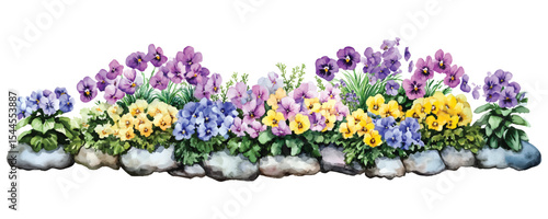 Watercolor pansies in stone planters vector illustration on transparent background floral design element