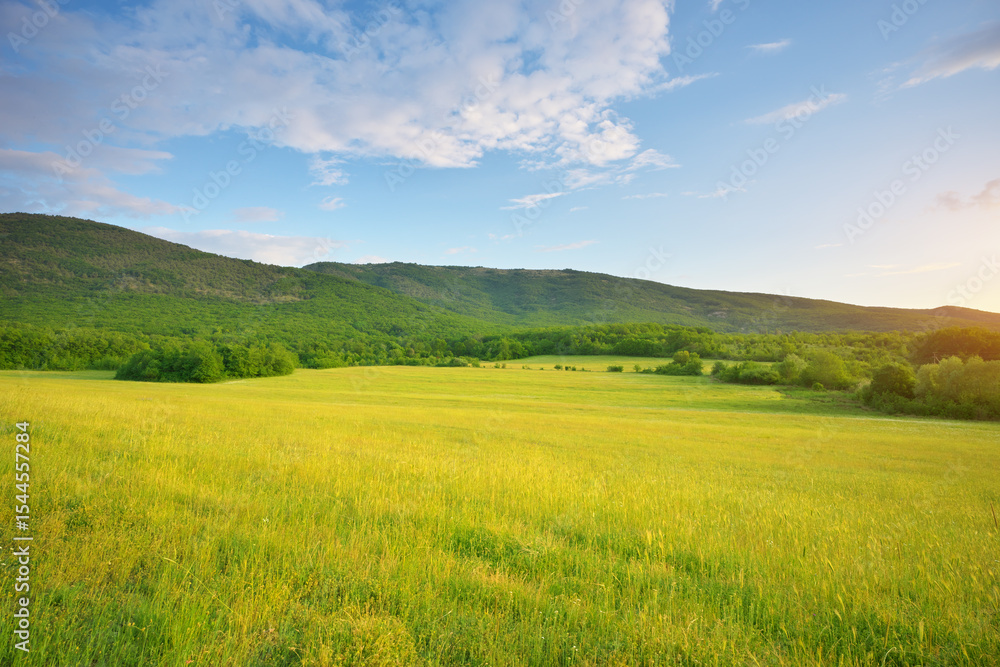 Obraz premium Green grass meadow in mountain at the sunset.