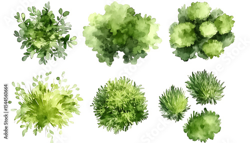 Watercolor tree and bush collection green top view on transparent background