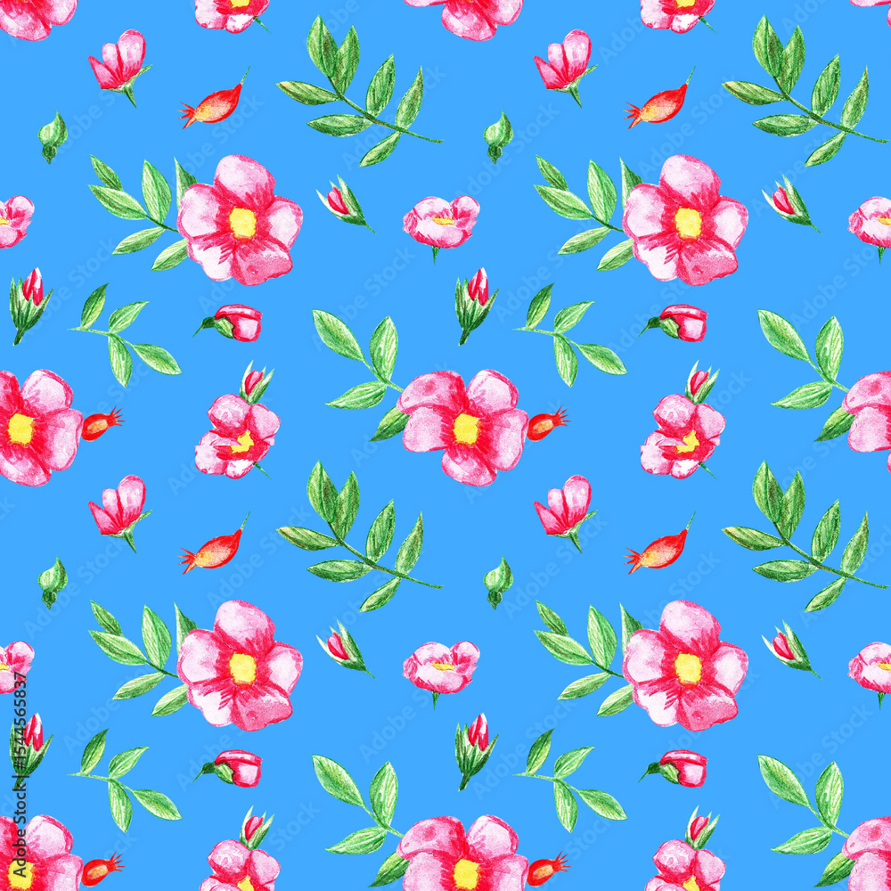 Fototapeta premium Watercolor pattern with rose hip flowers. Cute floral seamless texture with rose hips on a blue background. Meadow plants. Pattern for textiles or wallpapers 