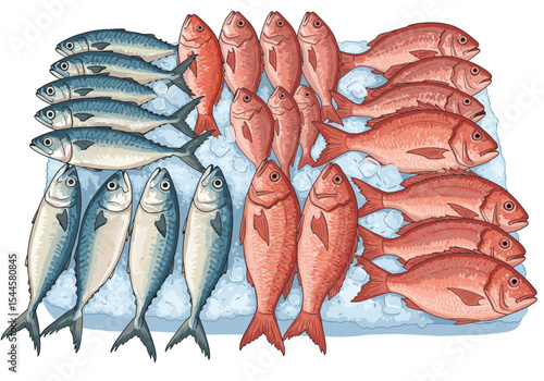 A detailed and clean vector illustration of a traditional Indonesian fish stall, 'penjual ikan', where a variety of fresh fish like mackerel ('kembung') and red snapper are artfully arranged.