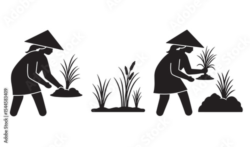 Silhouette illustration of a farmer planting rice seedlings in an asian agricultural field