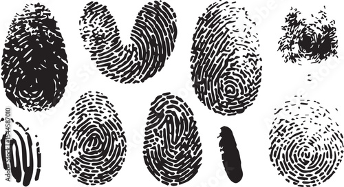 set of Vector Black Fingerprint Silhouette on Clean White Background – Grunge Thumbprint Sign and Identity Symbol Graphic for ID Design and Illustration
