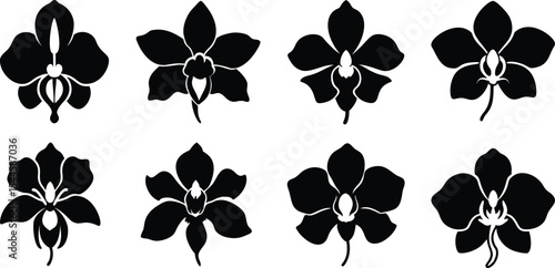 Orchid Flower Silhouette Vector Pack