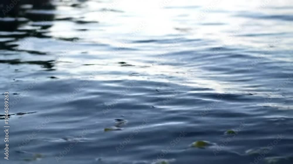 Closeup of gentle water ripples on lake surface reflecting sunlight, seamless looping 4k time-lapse animation video background Closeup of gentle water ripples on lake surface reflecting sunlight, seamless looping 4k time-lapse animation video background