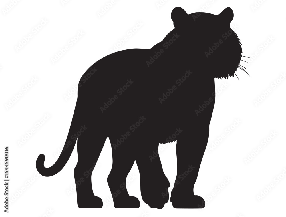 Obraz premium Bengal Tiger Silhouette