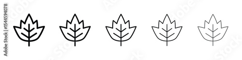 Birch leaf icon. graphic icon design template