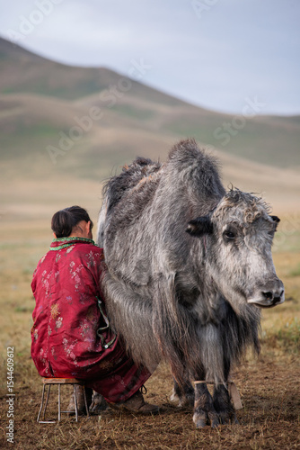 Nomadic woman milking a yak in the Mongolian steppe, wearing a traditional deel against a backdrop of rolling hills.