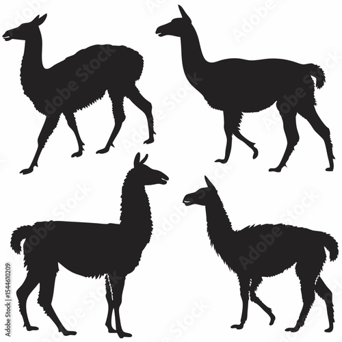 Llamas Silhouette Vector Set in Minimalist Flat Style