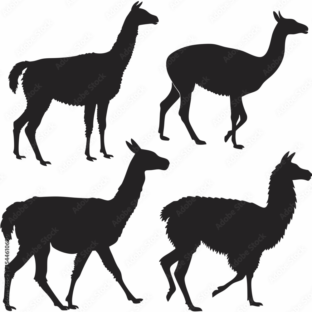 Fototapeta premium Llamas Silhouette Vector Set in Minimalist Flat Style