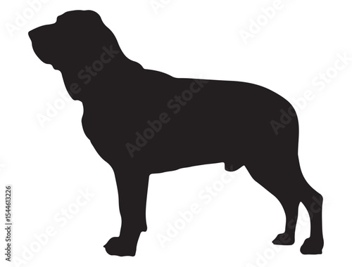 Bloodhound Dog Silhouette