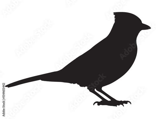  Blue Jay Bird Silhouette