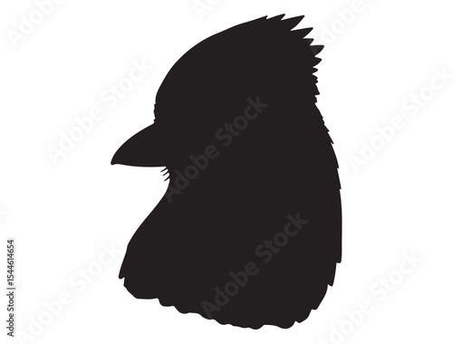  Blue Jay Bird Silhouette