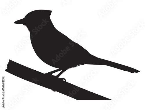  Blue Jay Bird Silhouette