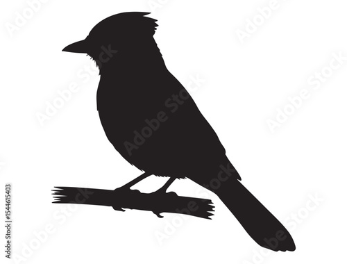  Blue Jay Bird Silhouette