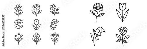 Floral designs featuring various flowers with unique shapes and styles ideal for creative projects and decorations