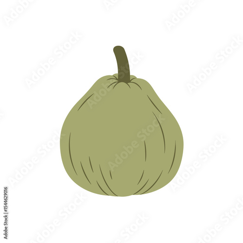 Single Olive Green Pumpkin Illustration.