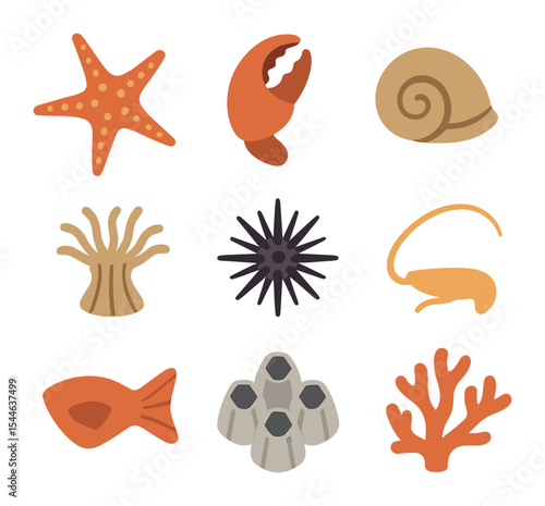 Tide Pool Icons. Flat icon set of tide pool organisms anatomy: starfish arm, crab claw, snail shell, anemone
