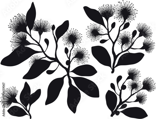 A vibrant vector illustration featuring silhouette leafy branches with fluffy eucalyptus flowers
